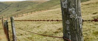 Barbed wire fence