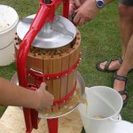 Extracting juice using a garden press